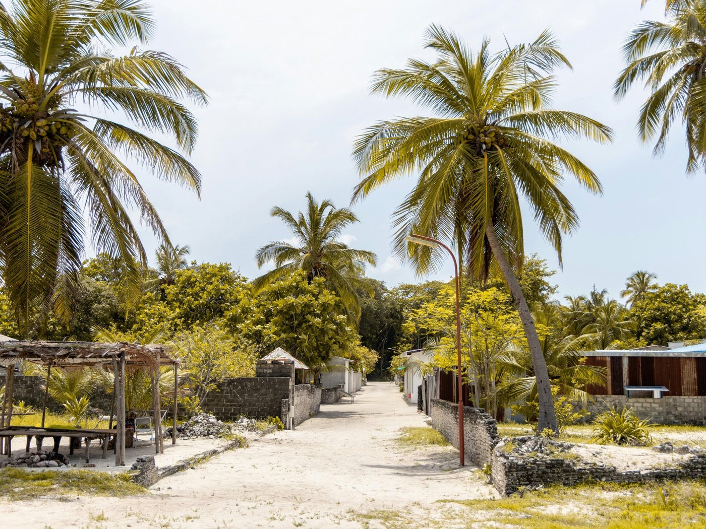 Island Life Immersion